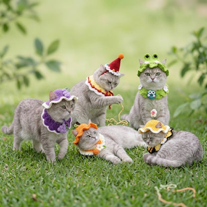 Tutte le varianti del Cappellino all'Uncinetto per Gatti in pose naturali: Ranocchietto, Zucca, Uva, Fiori di Primavera, Buon Compleanno